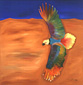Bird Series